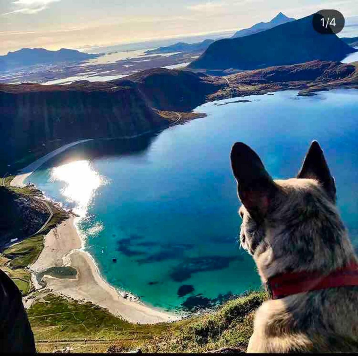 Lofoten Seaview Ballstad Ngoại thất bức ảnh