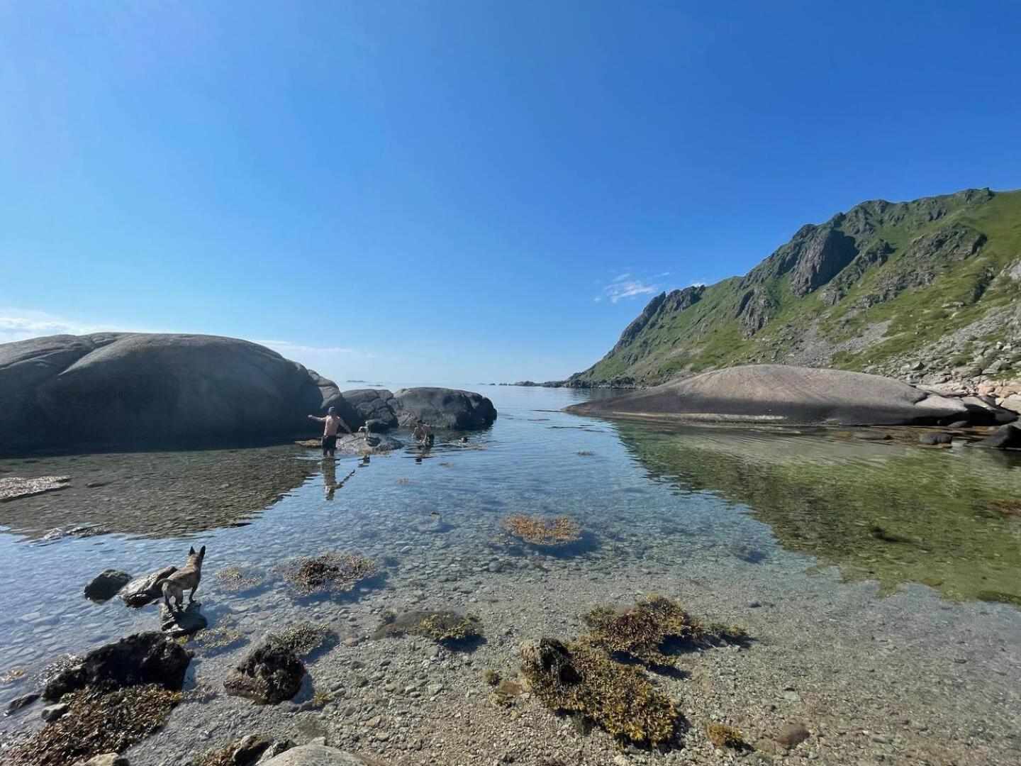 Lofoten Seaview Ballstad Ngoại thất bức ảnh